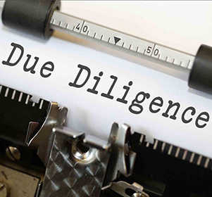 Due Diligence Report